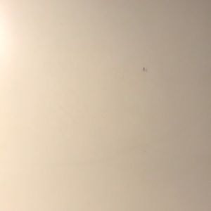 Meet your Posher, Kelli